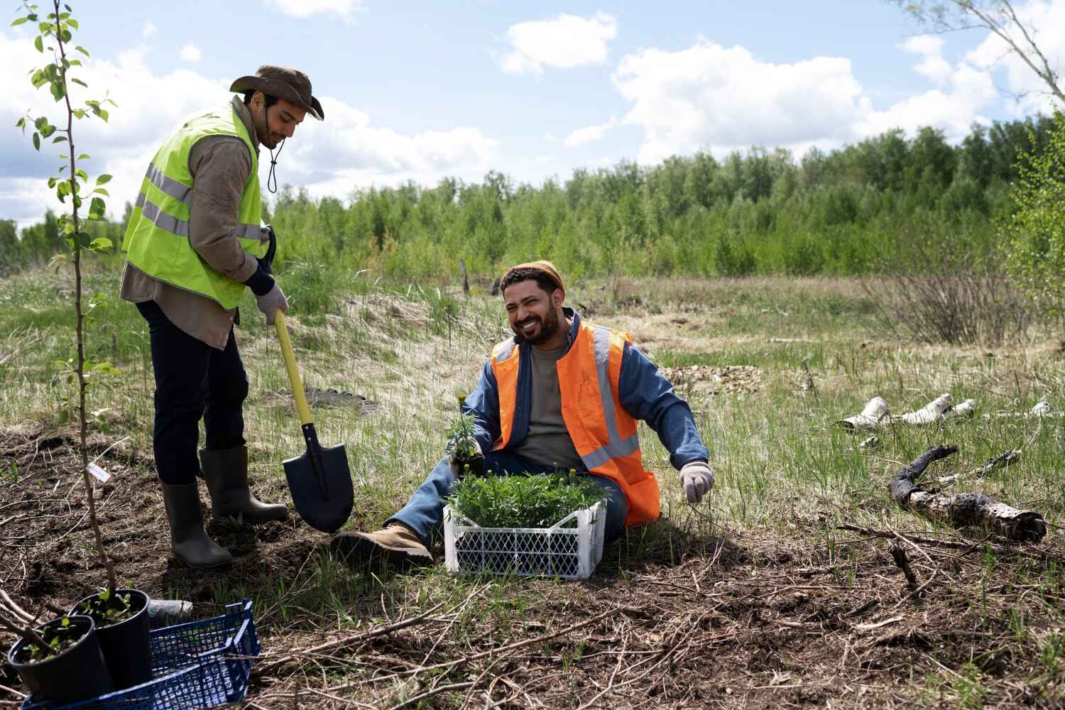 Trusted Kewaunee, WI Tree Service Experts